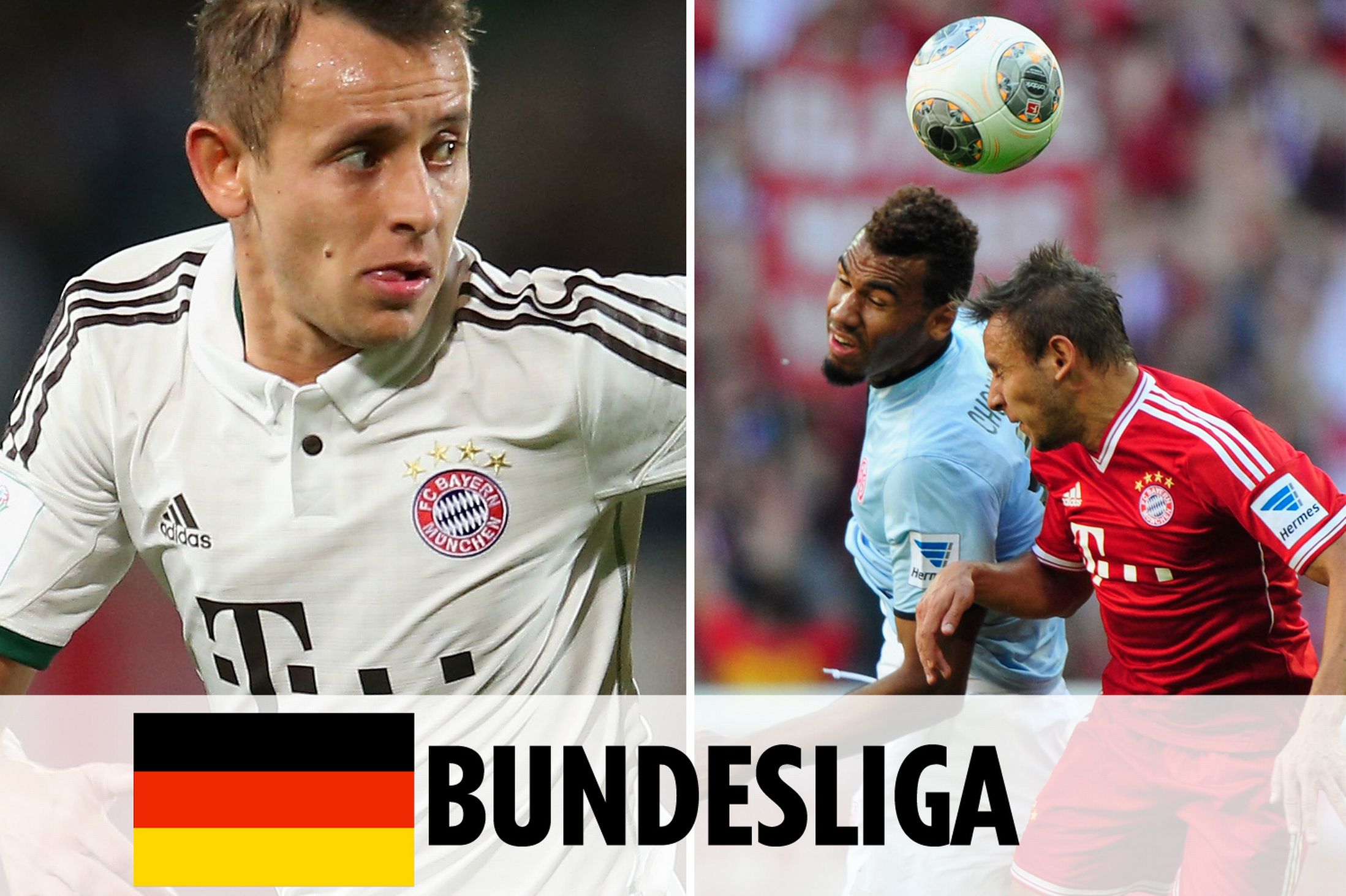 了一定的抗 了一定的抗